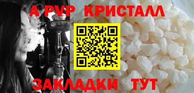 круглые Кингисепп