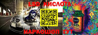 круглые Кингисепп
