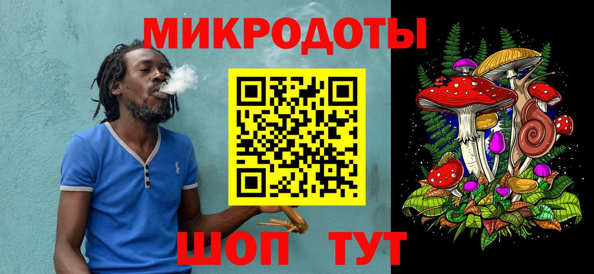 Псилоцибиновые грибы Psilocybe Пушкино