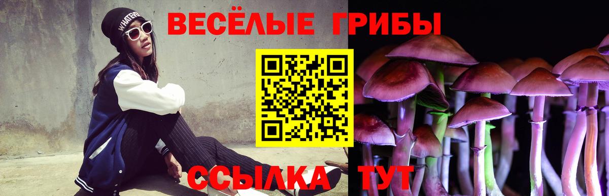 купить закладку  Псилоцибиновые грибы Psilocybine cubensis  Вход с VPN  Псилоцибиновые грибы Psilocybine cubensis  Пушкино 